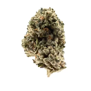 Demecan PS NOIR 30:01 Drop – Produktbild des Anbieters Bloomwell