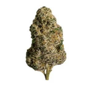 enua 33/1 SF4 CA SSS – Produktbild des Anbieters Bloomwell