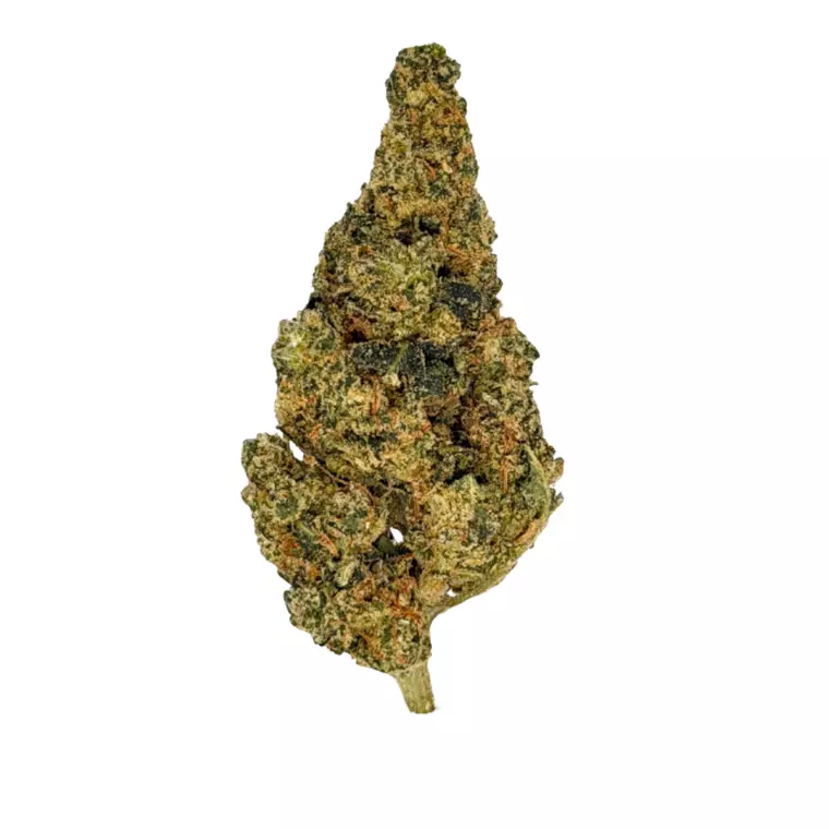 Peace Naturals 31/1 GMB – Produktbild des Anbieters Bloomwell