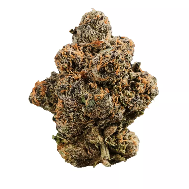 420 Compound 33/1 GAP – Produktbild des Anbieters Bloomwell