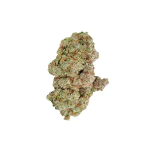 Avaay 29/1 OGC – Produktbild des Anbieters Bloomwell
