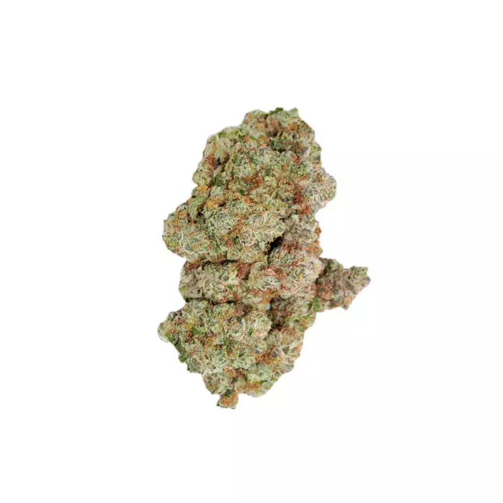Avaay 29/1 OGC – Produktbild des Anbieters Bloomwell