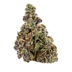 Demecan Core Veloz – Produktbild des Anbieters Bloomwell