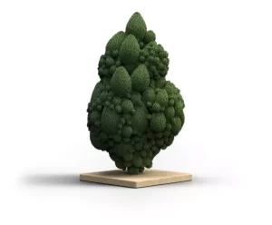 Weeco 20/1 – Produktbild des Anbieters Bloomwell