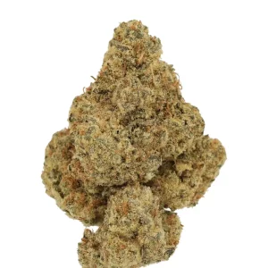 Cannamedical Hybrid Forte KA – Produktbild des Anbieters Bloomwell