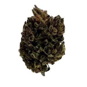 Canify 1/14 LS Ku. – Produktbild des Anbieters Bloomwell
