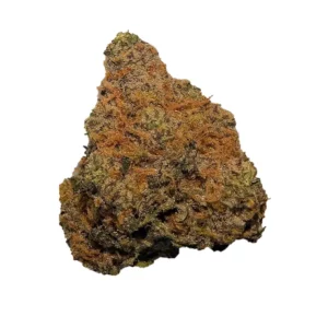 Kissel 069 x Breezy TS 24/1 – Produktbild des Anbieters Bloomwell