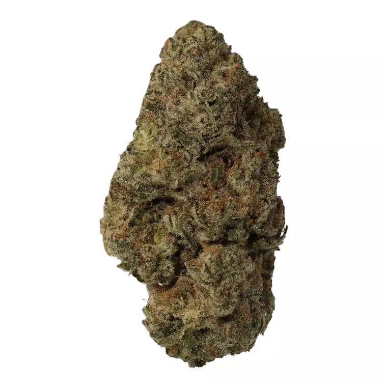 Luana 28/1 Electric – Produktbild des Anbieters Bloomwell