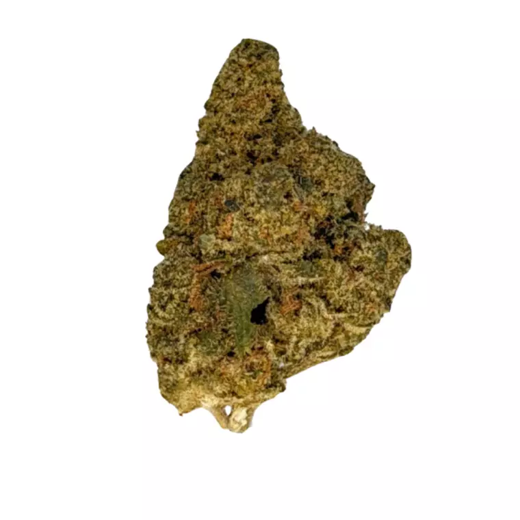LIT 27/1 FOG – Produktbild des Anbieters Bloomwell