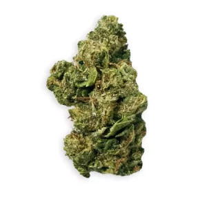 Coyote Valley 20/1 NP – Produktbild des Anbieters Bloomwell