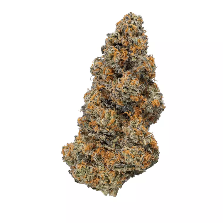 enua 22/1 AFSC CA – Produktbild des Anbieters Bloomwell