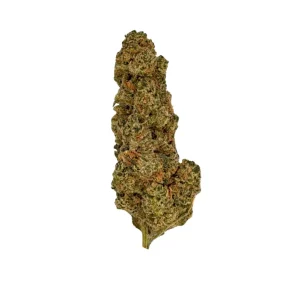 NICE 32/1 LH – Produktbild des Anbieters Bloomwell