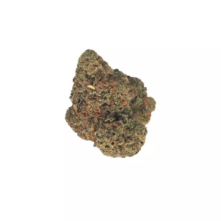 NICE 30/1 GBA – Produktbild des Anbieters Bloomwell