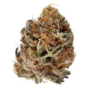 enua 25/1 CBC CA – Produktbild des Anbieters Bloomwell