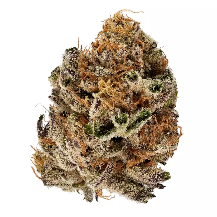 enua 25/1 CBC CA – Produktbild des Anbieters Bloomwell