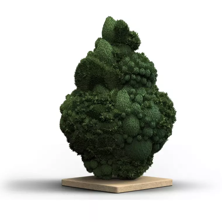 DrWatson 26 RP AUS – Produktbild des Anbieters Bloomwell