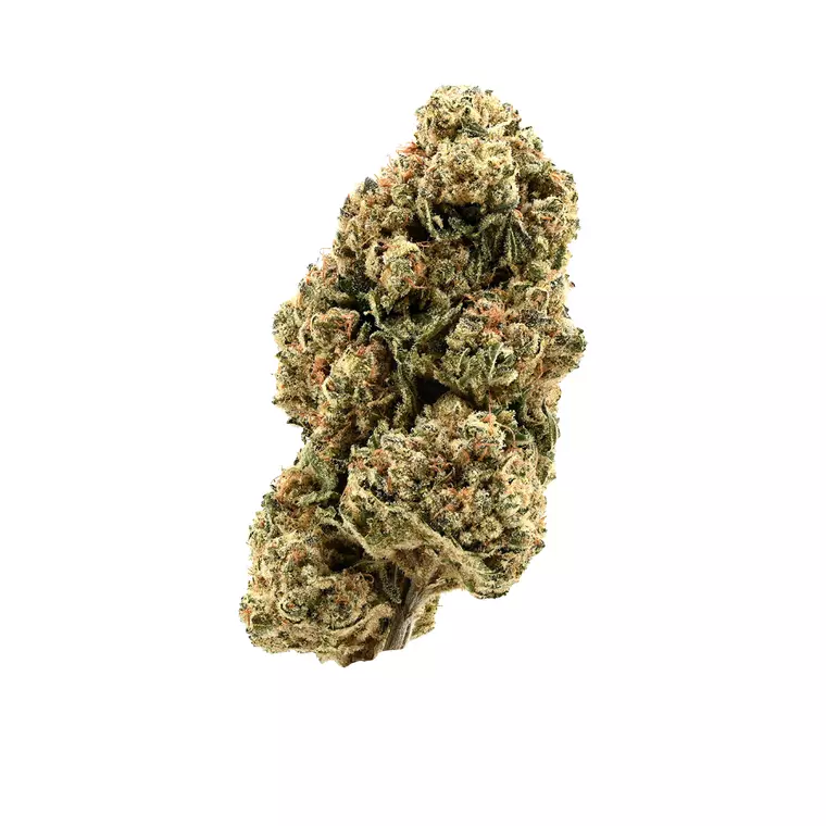 DEMECAN PS FRTP Drop – Produktbild des Anbieters Bloomwell
