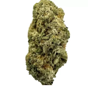 ZOIKS 26/1 ALM – Produktbild des Anbieters Bloomwell