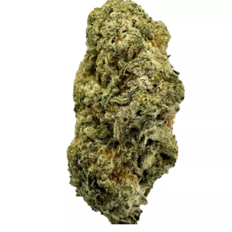 ZOIKS 26/1 ALM – Produktbild des Anbieters Bloomwell