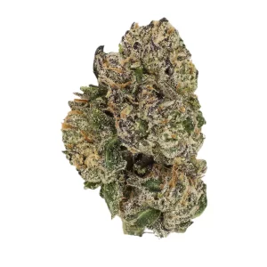 Cannamedical Sativa Forte NM – Produktbild des Anbieters Bloomwell