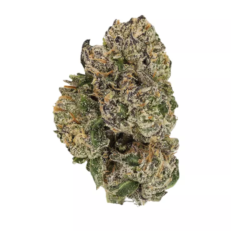 Cannamedical Sativa Forte NM – Produktbild des Anbieters Bloomwell