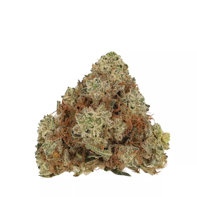 Cannamedical Hybrid Forte DK – Produktbild des Anbieters Bloomwell