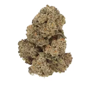 Luana 24/1 MPH – Produktbild des Anbieters Bloomwell