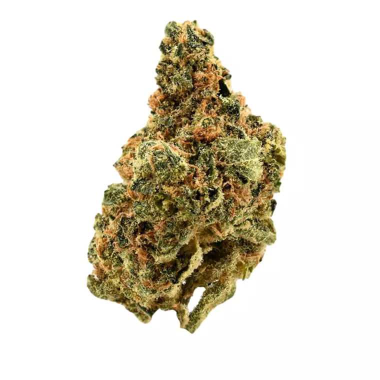 Demecan BPG Lean Drop – Produktbild des Anbieters Bloomwell