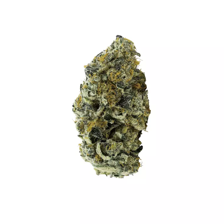 Avaay 27/1 JFP – Produktbild des Anbieters Bloomwell