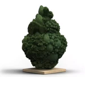 420 Evolution 27/1 CA CBB – Produktbild des Anbieters Bloomwell