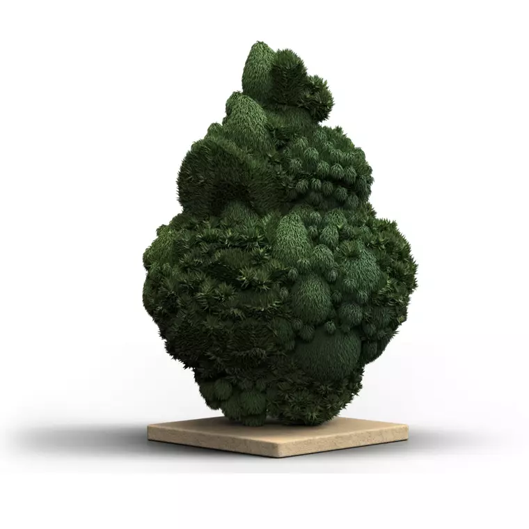 Canify 20/1 CZE – Produktbild des Anbieters Bloomwell