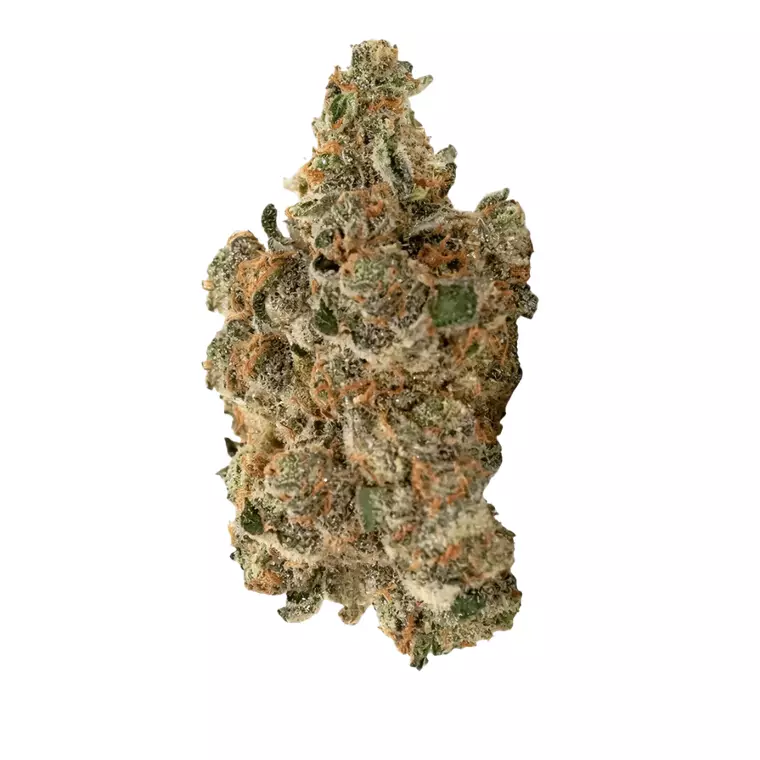 Buuo 28/1 MB – Produktbild des Anbieters Bloomwell
