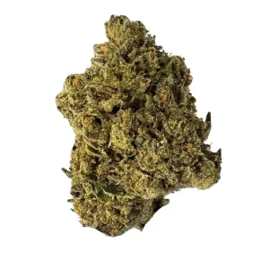enua 22/1 WDC CA – Produktbild des Anbieters Bloomwell