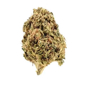 Demecan AC Suns 15:01 – Produktbild des Anbieters Bloomwell