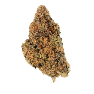420 Evolution 30/1 CA PEX – Produktbild des Anbieters Bloomwell