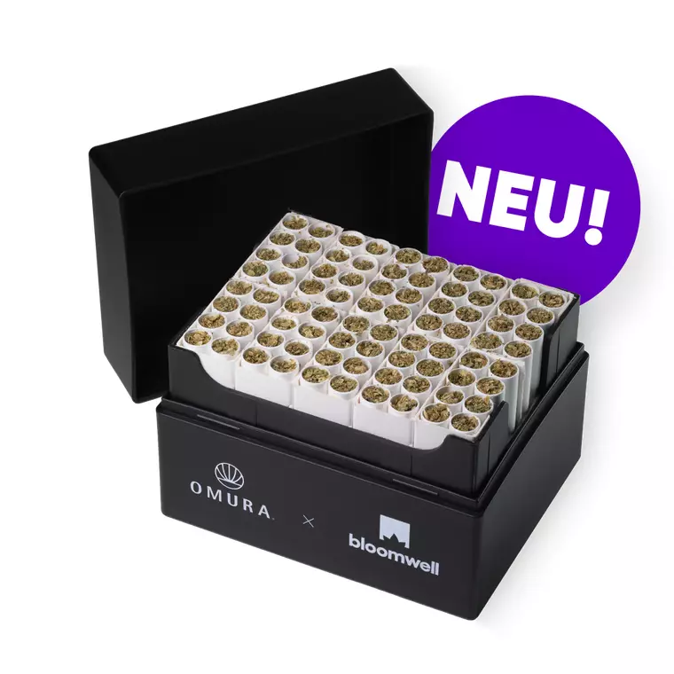 enua 22/1 BCP CA Blütensticks – Produktbild des Anbieters Bloomwell