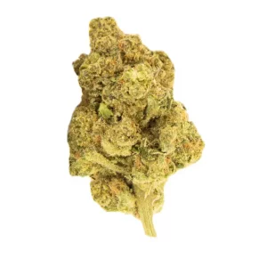 N!CE 24/1 HBR – Produktbild des Anbieters Bloomwell