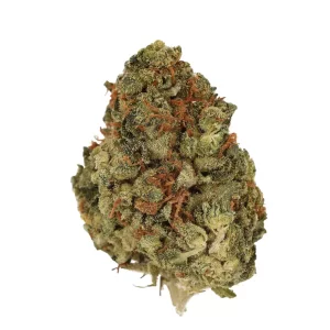 CM 24/1 OG Kush – Produktbild des Anbieters Bloomwell