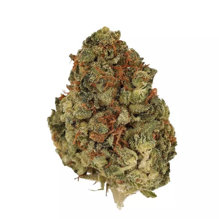 CM 24/1 OG Kush – Produktbild des Anbieters Bloomwell