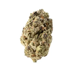 TRUU GT 22:01 – Produktbild des Anbieters Bloomwell