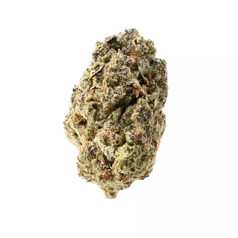 TRUU GT 22:01 – Produktbild des Anbieters Bloomwell