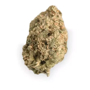 Bedrocan Forte 25/1 – Produktbild des Anbieters Bloomwell