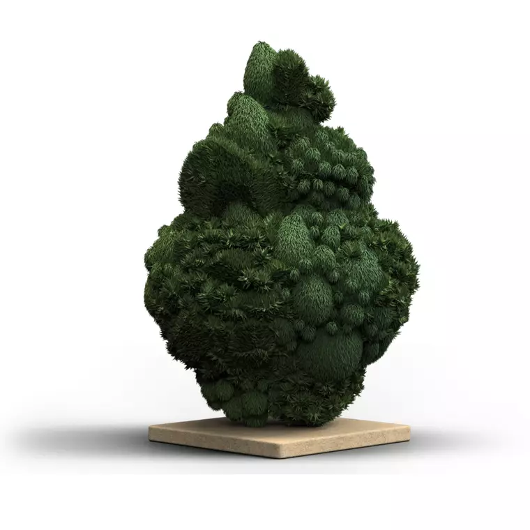 Kush Mountain Craft 27/1 – Produktbild des Anbieters Bloomwell