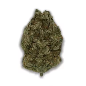 420 Evolution 27/1 CA BUL: Bucket List – Produktbild des Anbieters CanDoc