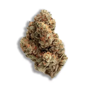 420 Evolution 25/1 CA PCH: Peach Chementine – Produktbild des Anbieters CanDoc