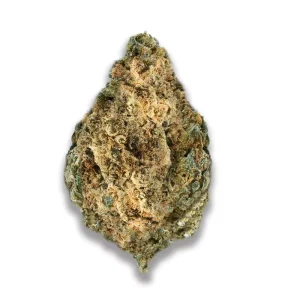 420 Evolution 25/1 CA WES: Wedding Singer – Produktbild des Anbieters CanDoc
