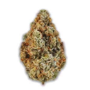 420 Evolution 30/1 CA WES: Wedding Singer – Produktbild des Anbieters CanDoc