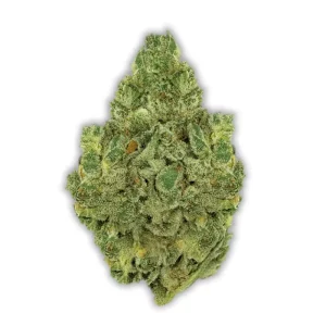 420 Natural 20/1 CA GG: Gorilla Glue 4 – Produktbild des Anbieters CanDoc