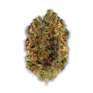 Remexian 30/1 MTL APF: Apple Fritter – Produktbild des Anbieters CanDoc