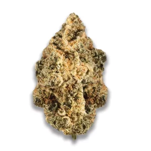 Cannabis flos 20/1 CSF Ku. Bashengo – Produktbild des Anbieters CanDoc